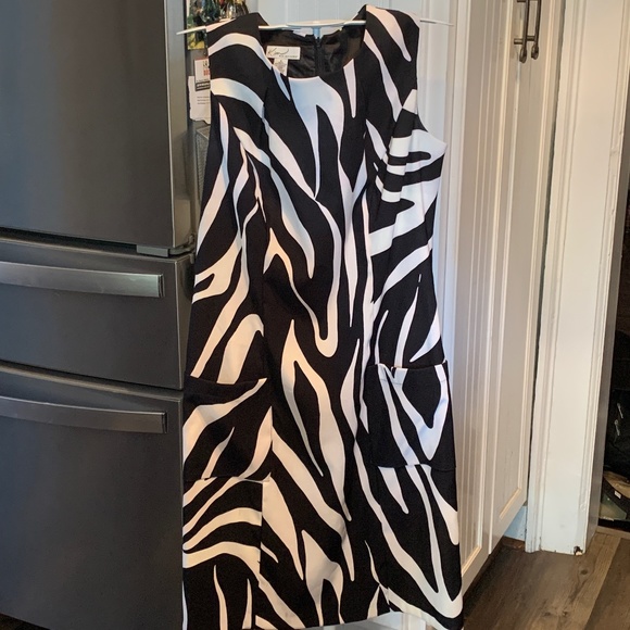Kim Rogers fully lined animal print dress with front pockets. Worn once - Picture 1 of 5